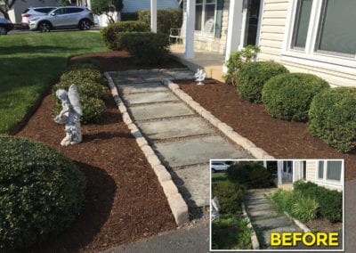 lawn renovation