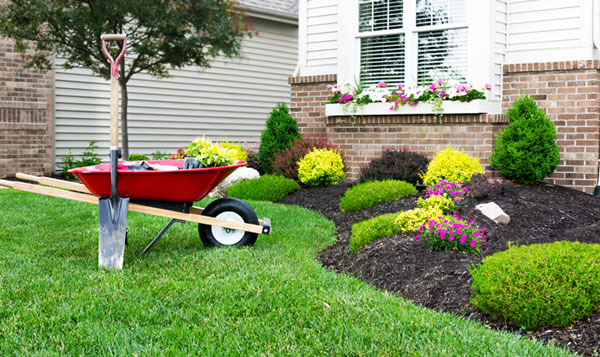 yard tools next to a red red wheel barrow on a lawn