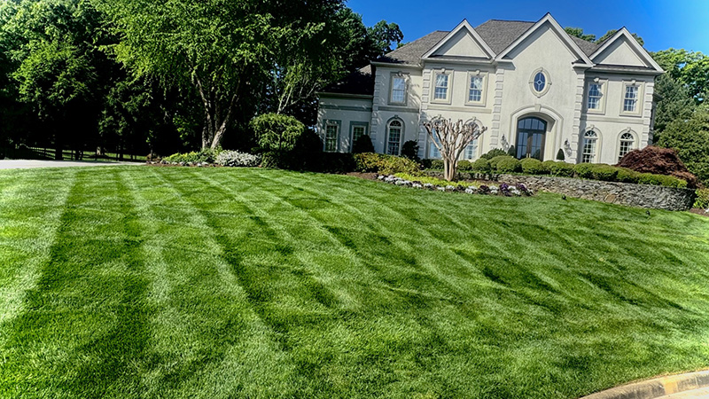 Perfectly mowed lawn