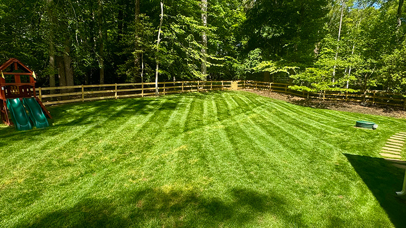 mowed backyard