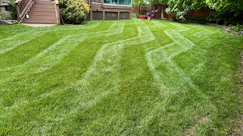Intricate mow pattern