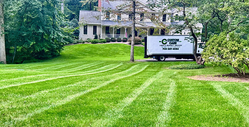 Custom Care Mowing